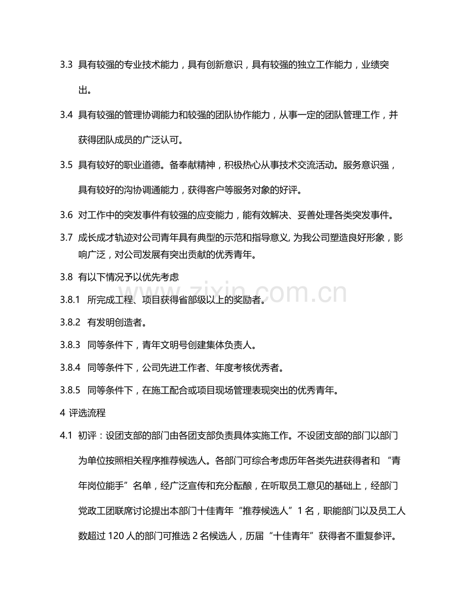国有企业“十佳青年”评选办法模版.docx_第2页