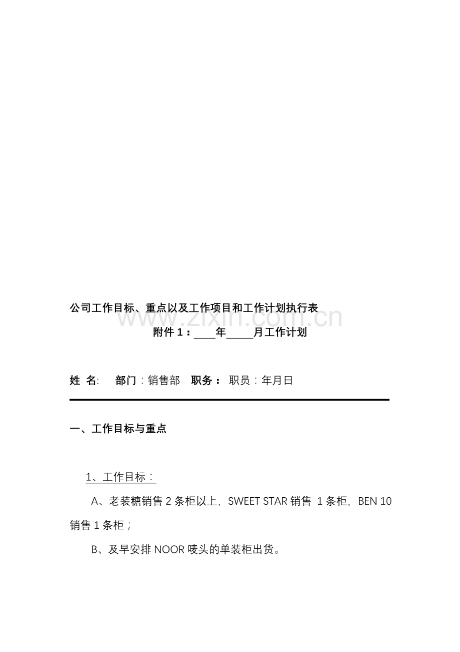 公司工作目标、重点以及工作项目和工作计划执行表.doc_第1页