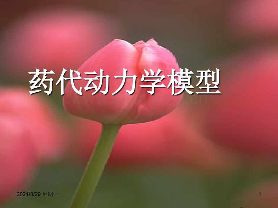 药代动力学.ppt_第1页