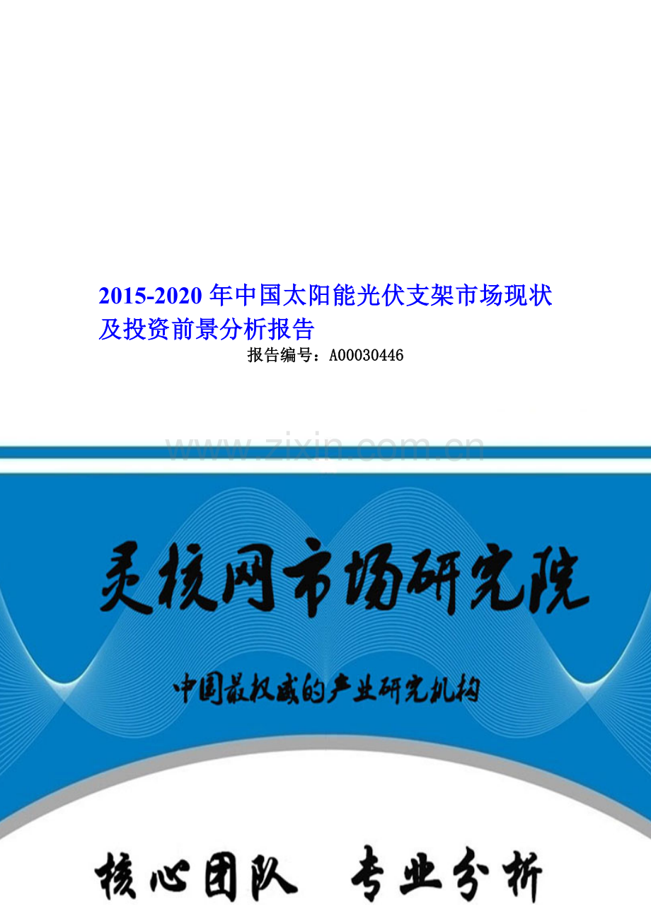 中国太阳能光伏支架行业市场分析与发展趋势研究报告-灵核网.doc_第1页