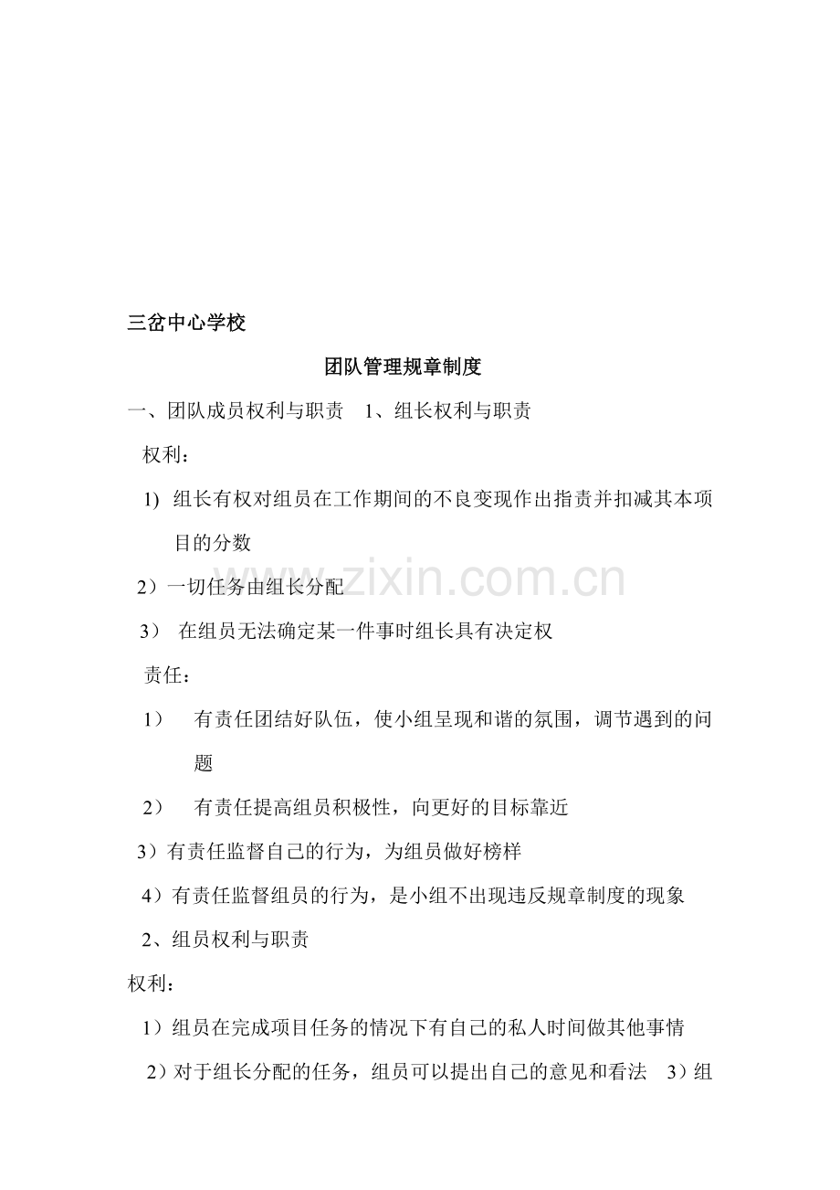 团队管理规章制度.doc_第1页