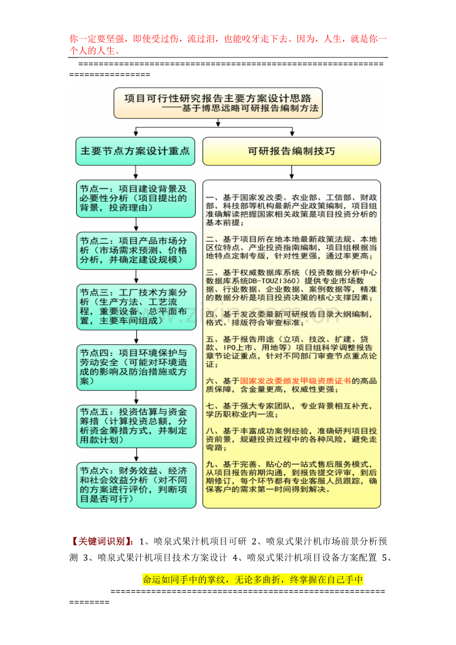 喷泉式果汁机项目可行性研究报告评审方案设计(2013年发改委立项详细标准-甲级案例范文).docx_第2页