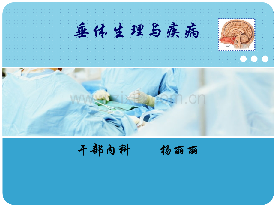 垂体生理与疾病.ppt_第1页