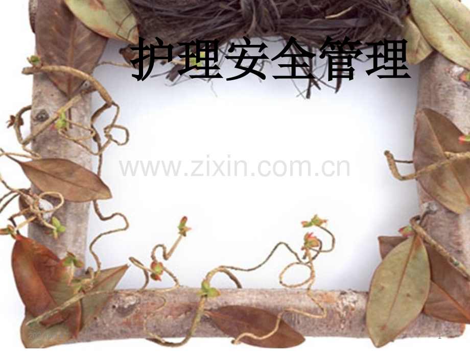 护理安全管理教学课件.ppt_第1页