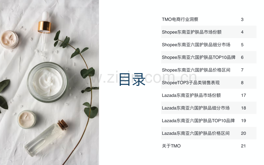 2024东南亚护肤品电商行业市场洞察.pdf_第2页