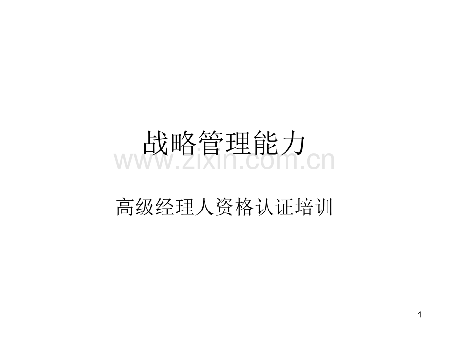 战略管理能力.ppt_第1页