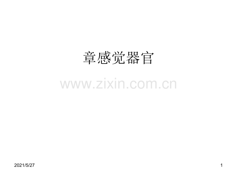 人体解剖学--感官-视器.ppt_第1页