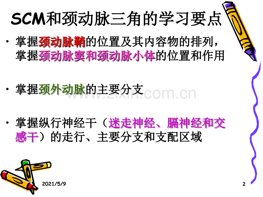 解剖课件之颈动脉三角胸锁乳突肌.ppt_第2页