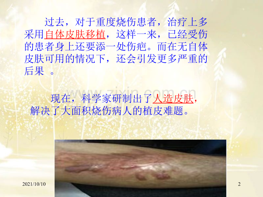 初一生物《细胞的生活》课件.ppt_第2页