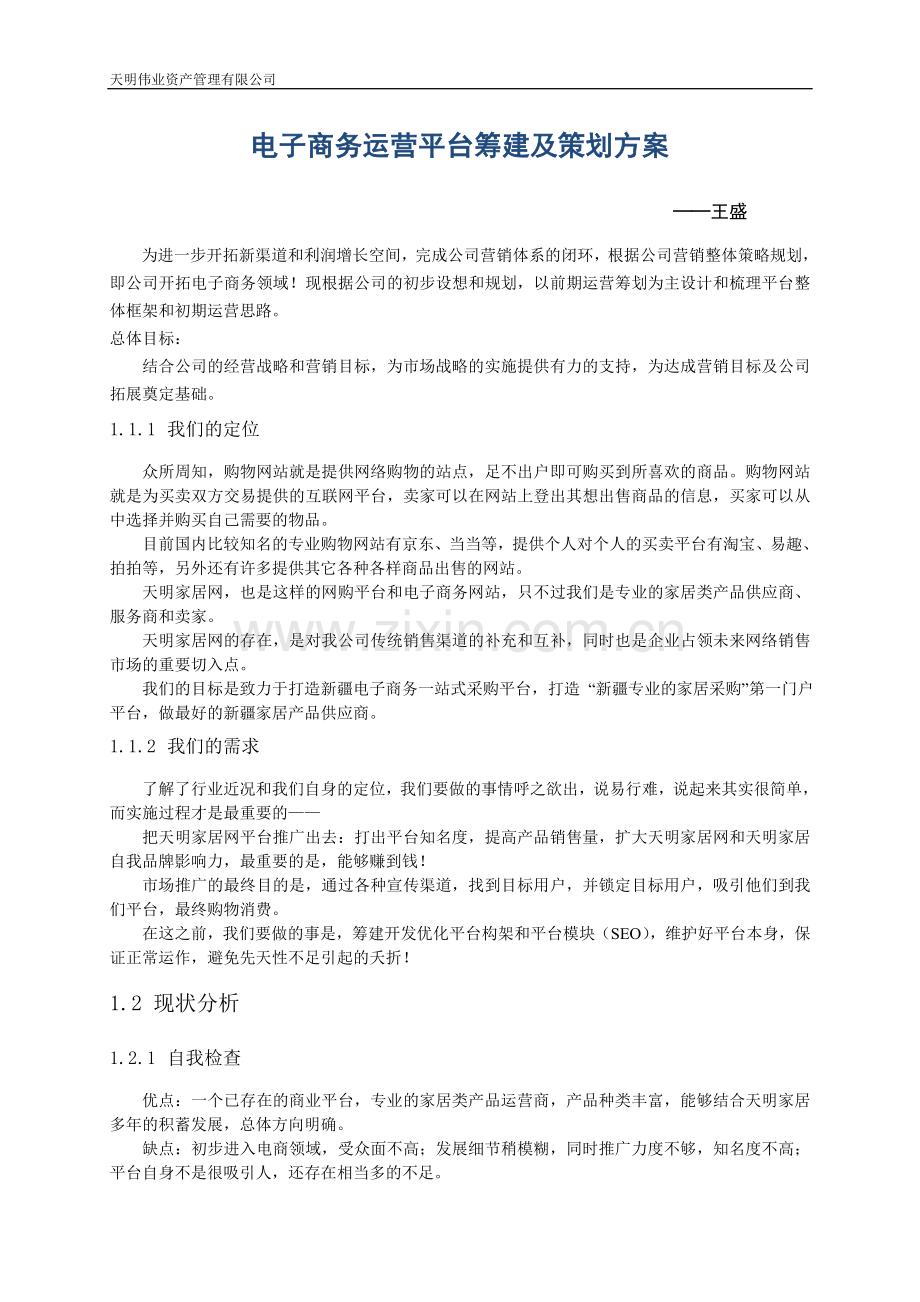 电子商务运营平台筹建及策划方案.doc_第1页