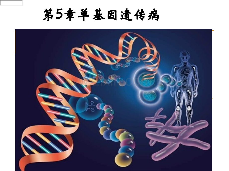 第五章-单基因遗传病.ppt_第1页
