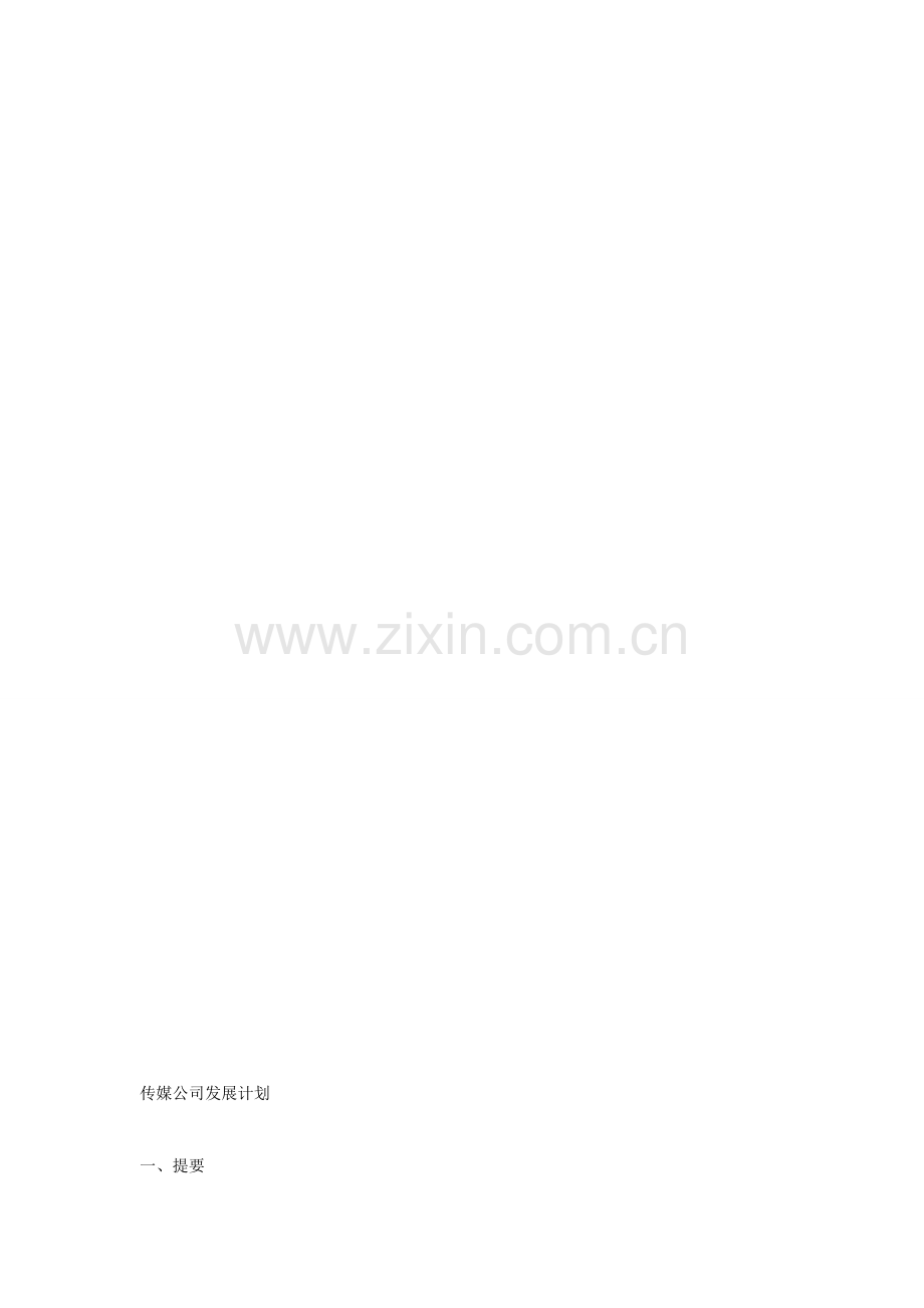 传媒公司商业发展计划.doc_第1页