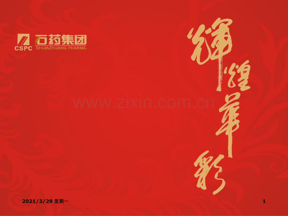 石药集团汇报.ppt_第1页