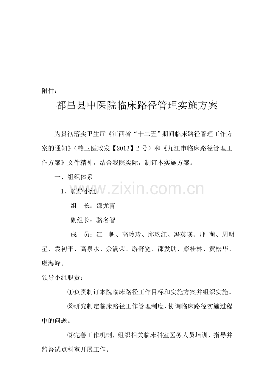 2013年临床路径实施方案.doc_第1页