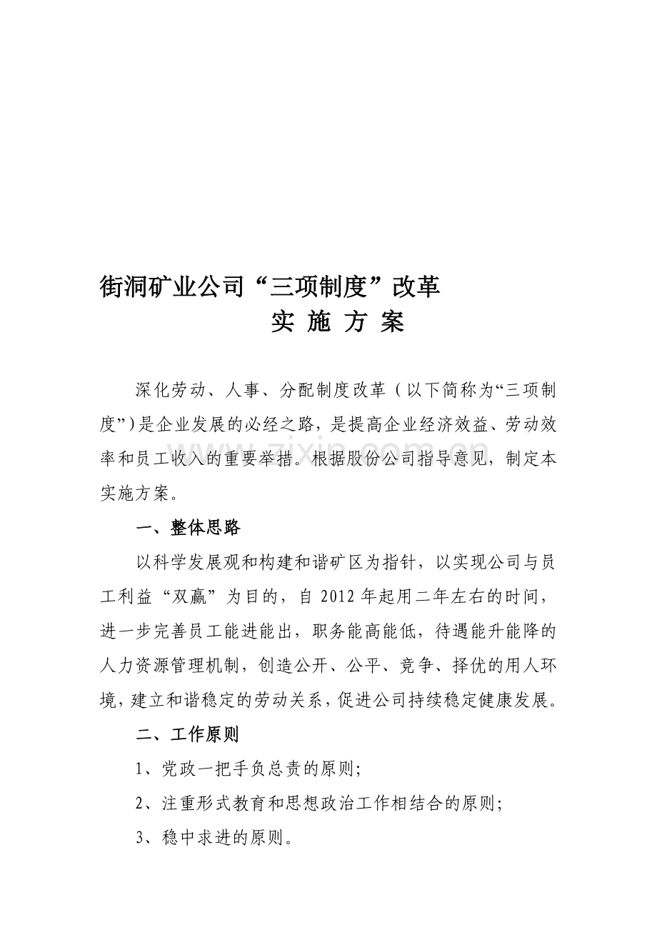 三项制度改革方案.doc_第1页