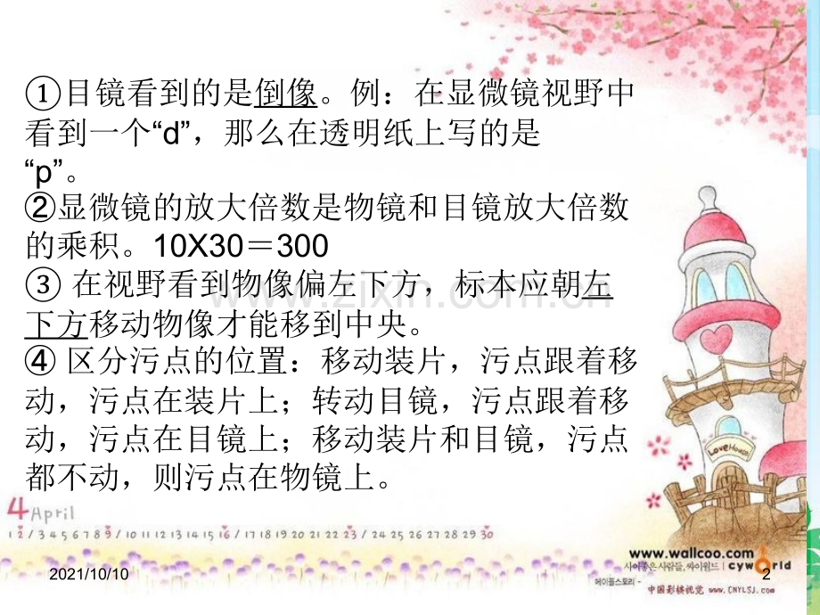 初中生物中考重点总复习.ppt_第2页