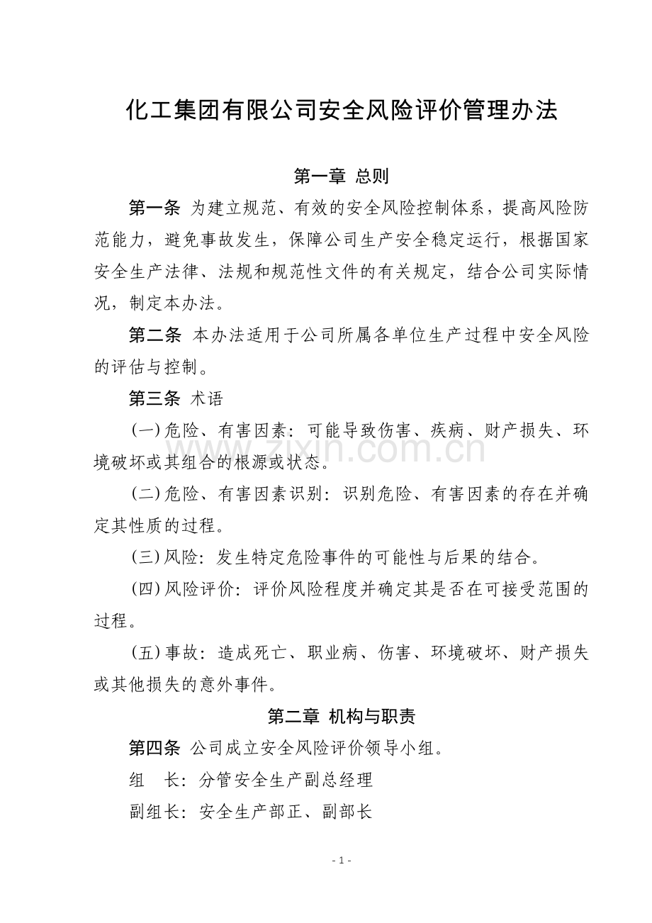 化工集团公司化工集团有限公司安全风险评价管理办法模版.docx_第1页