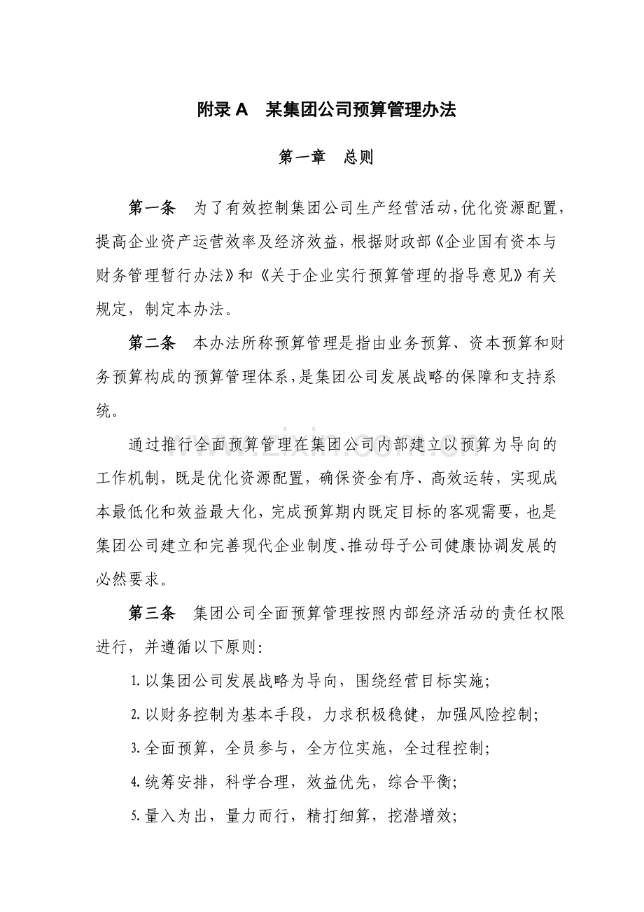 某集团公司预算管理办法.doc_第1页