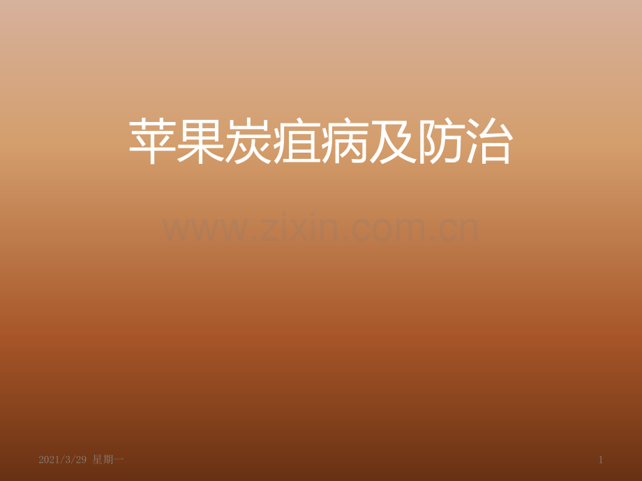 苹果炭疽病及防治.ppt_第1页