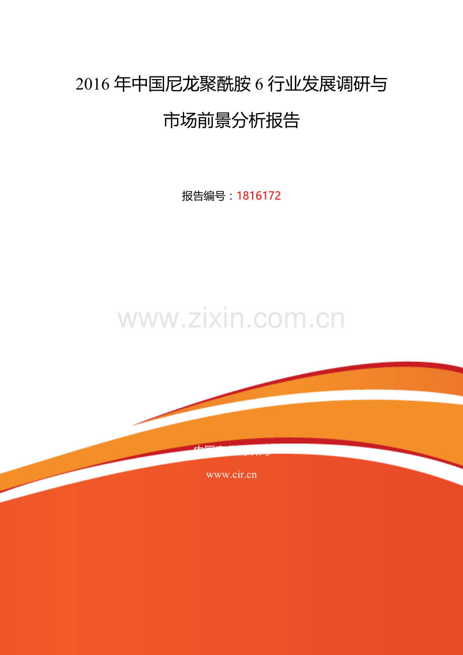 2016年尼龙聚酰胺6行业现状及发展趋势分析.doc_第2页