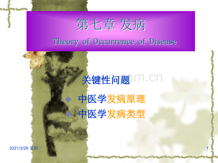 中医基础理论发病病机.ppt_第1页