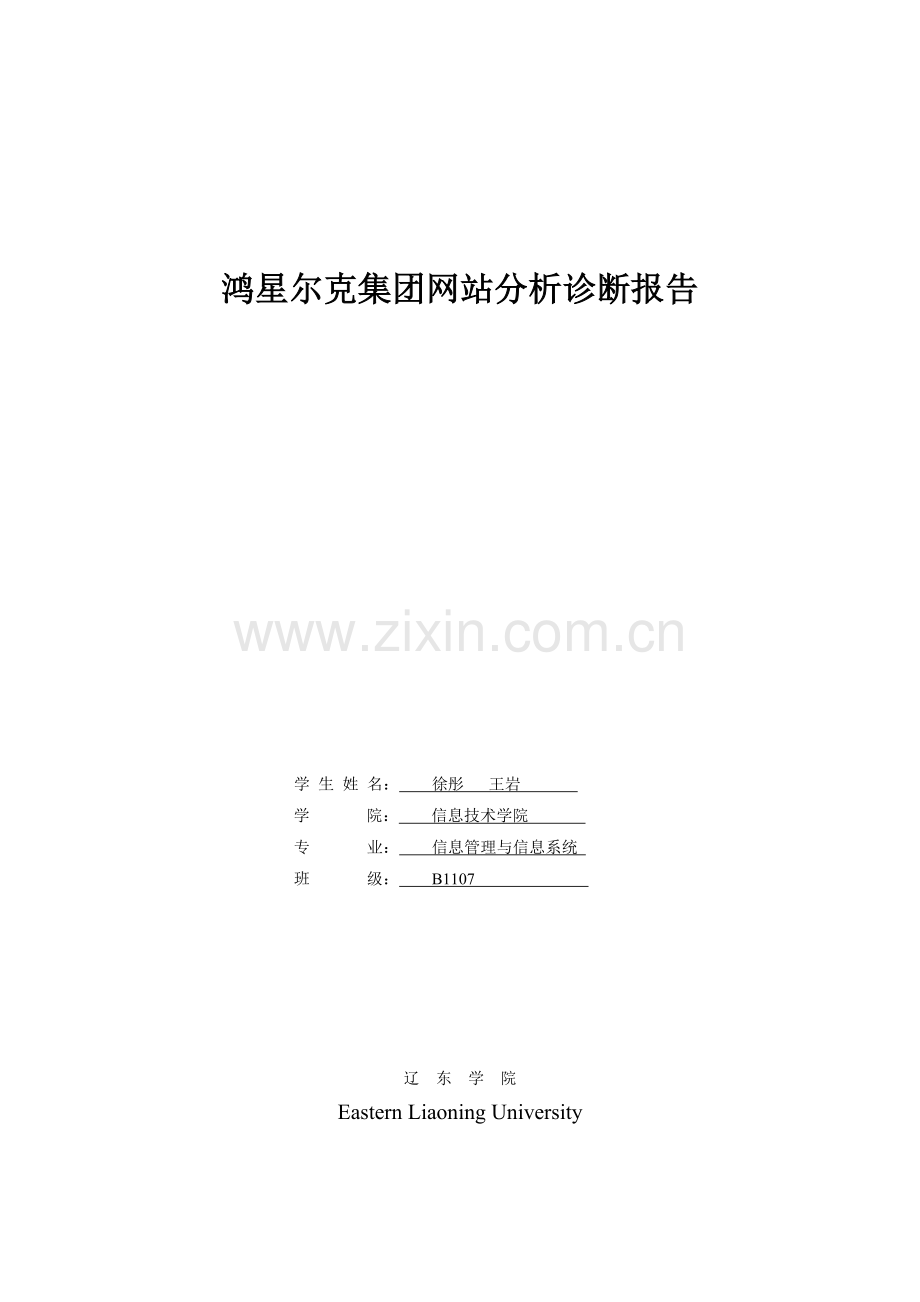 鸿星尔克集团网站分析诊断报告.doc_第1页