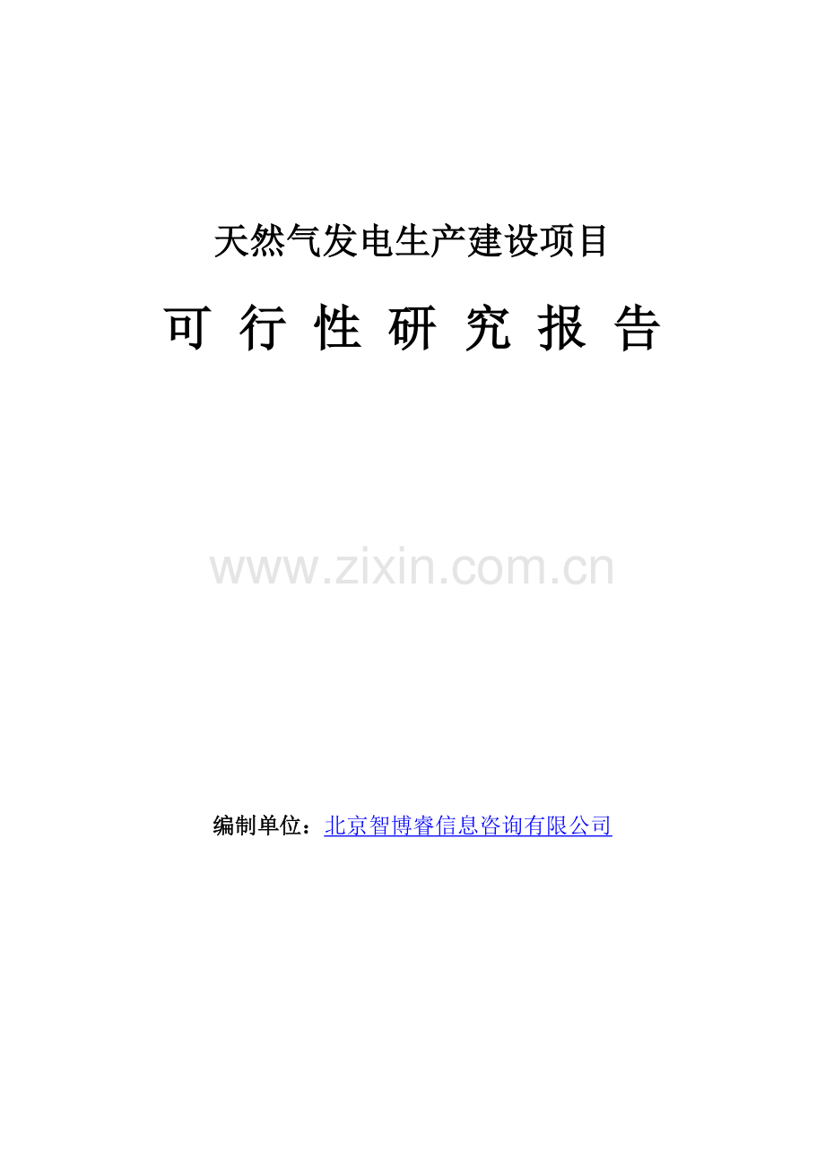 天然气发电生产建设项目可行性研究报告.doc_第1页