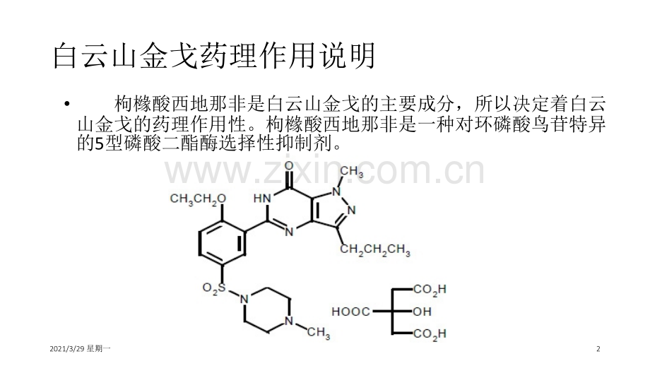 白云山金戈药理说明.ppt_第2页
