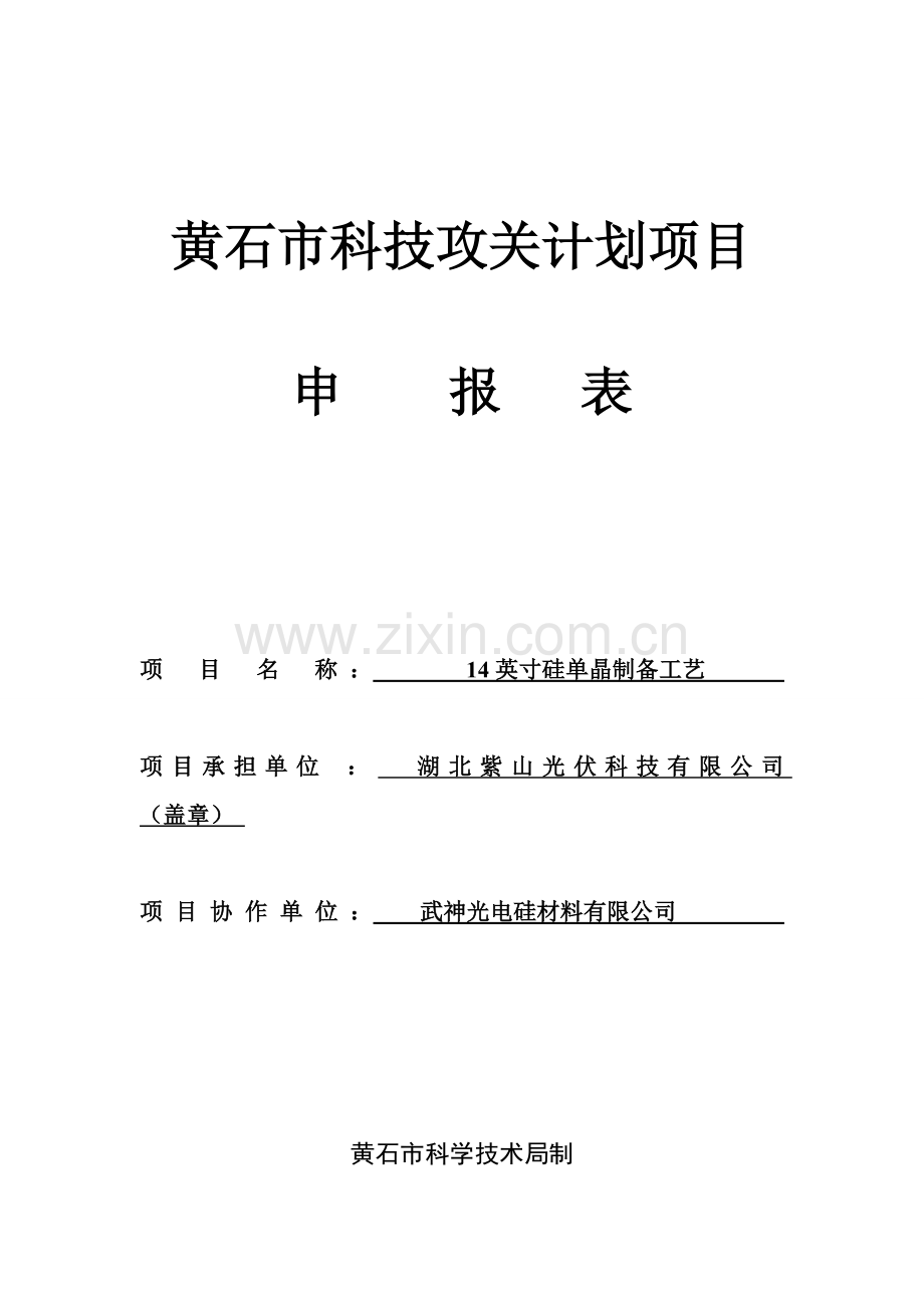 黄石市科技攻关项目申报表及可行性报告.doc_第1页