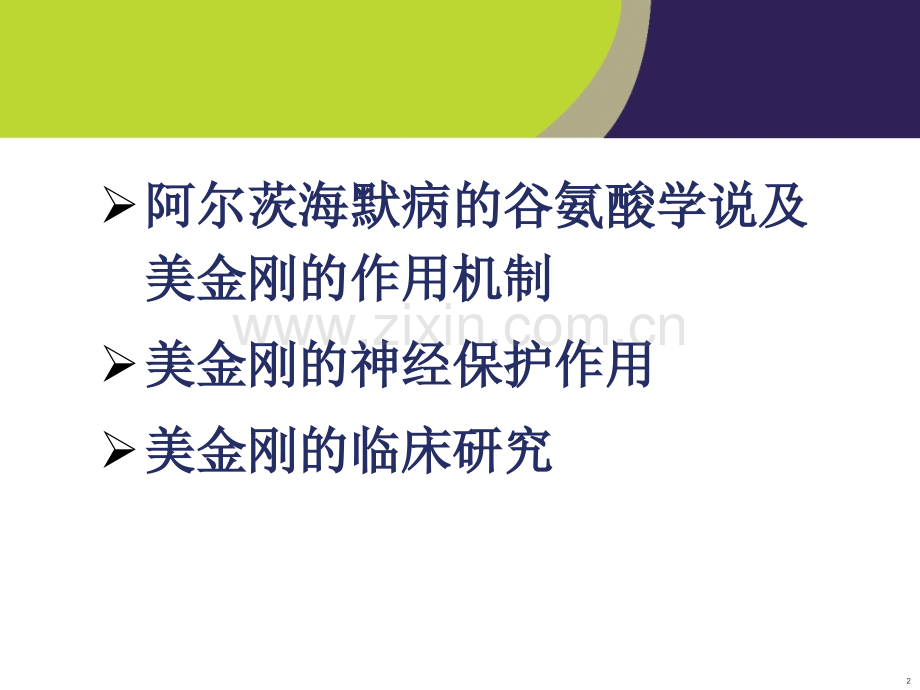 美金刚的作用机制及临床研究.ppt_第2页