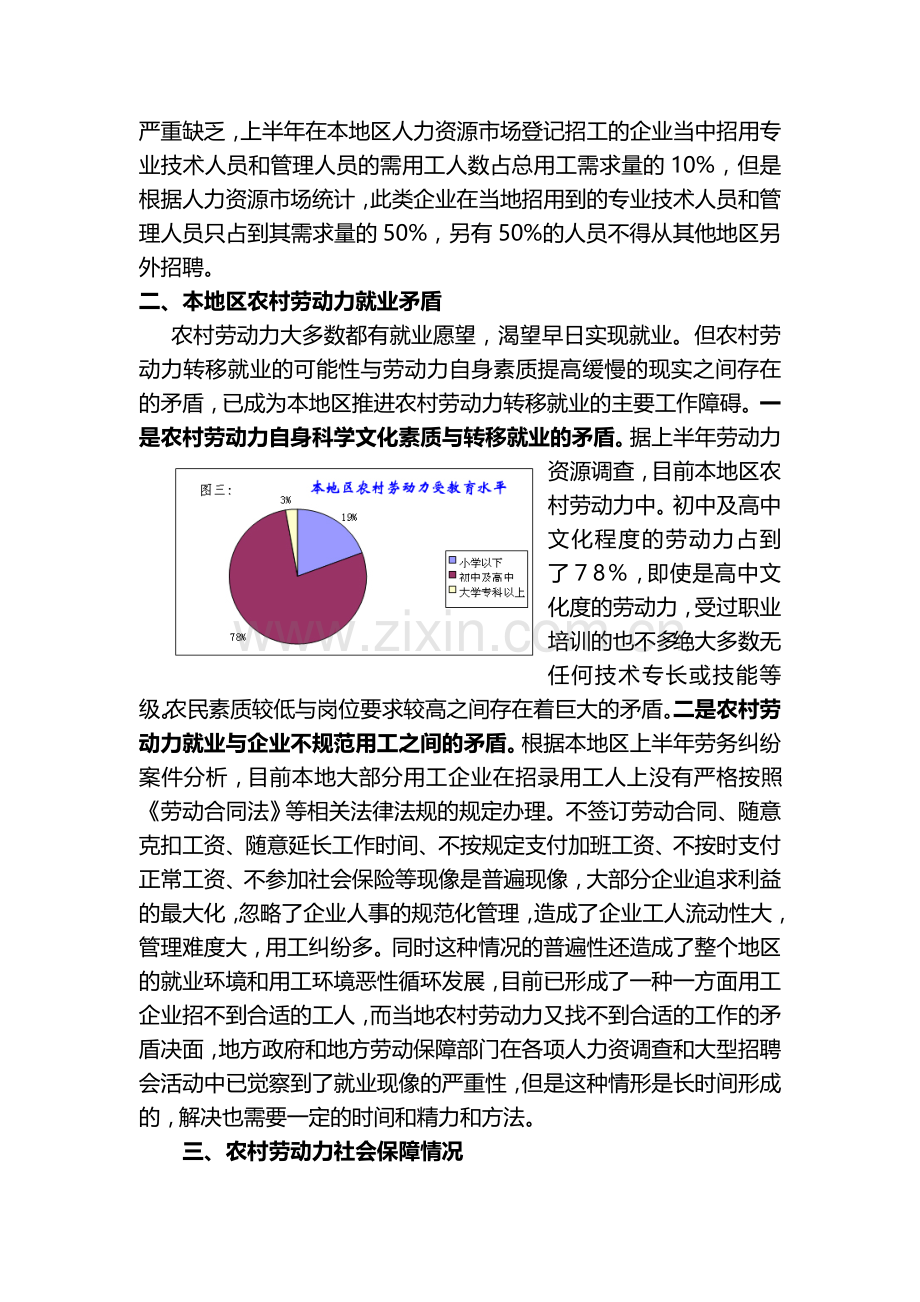 本地区农村劳动力就业状况分析(郎溪县王伟).doc_第2页