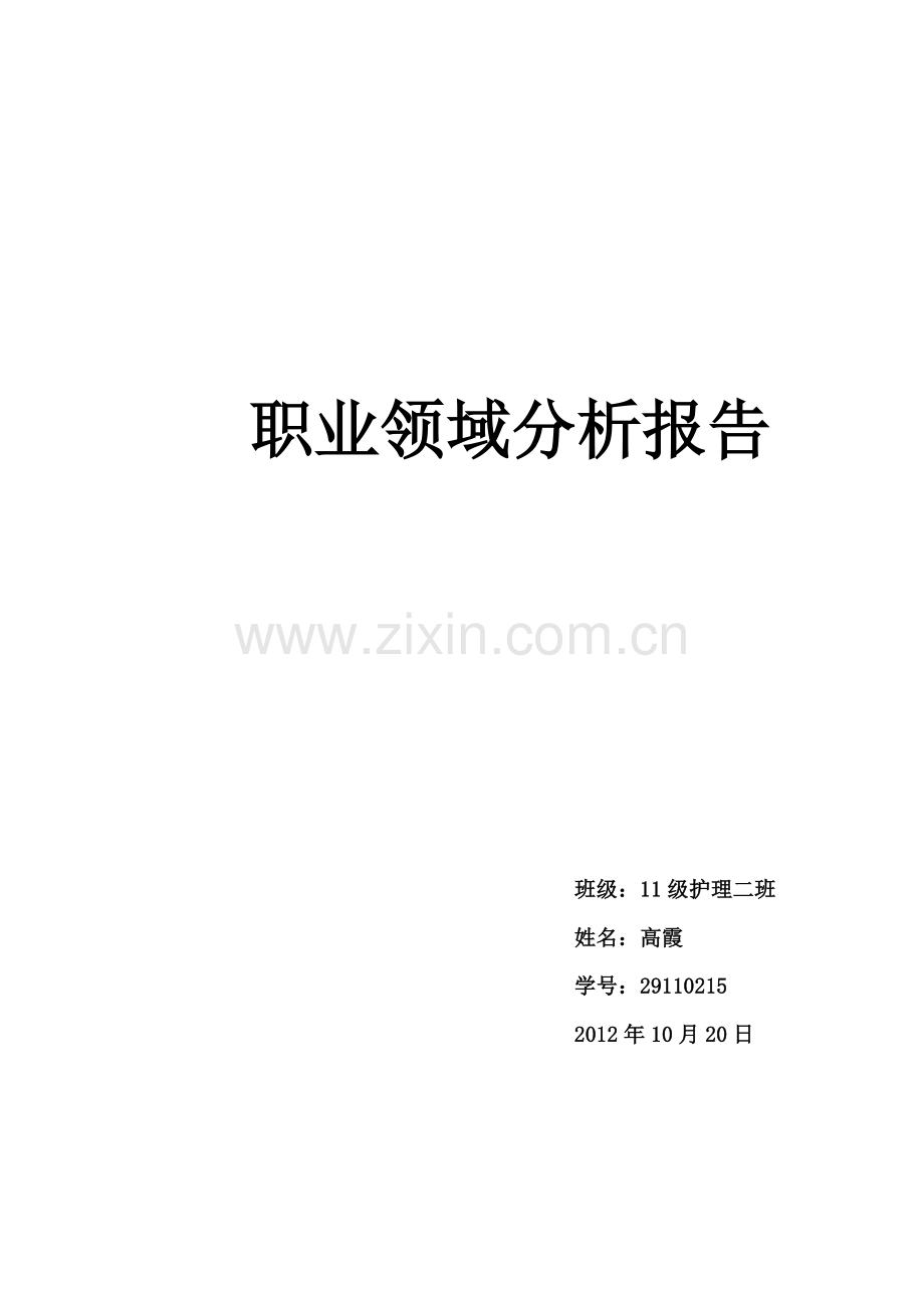 职业领域分析报告.doc_第1页