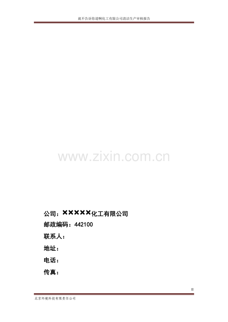 化工公司清洁生产审核报告.doc_第2页
