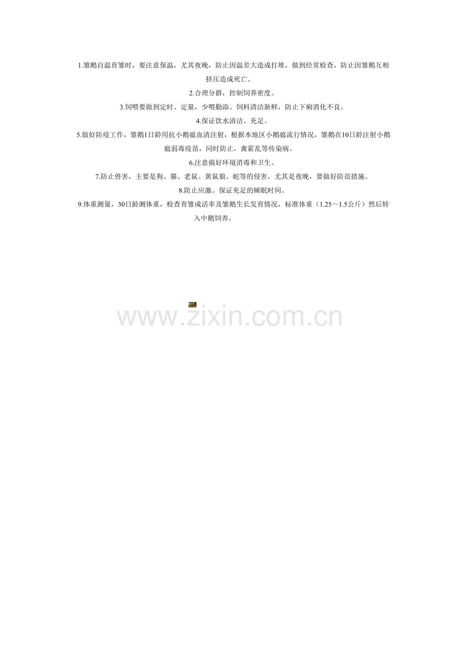 雏鹅的饲养管理要点.doc_第2页