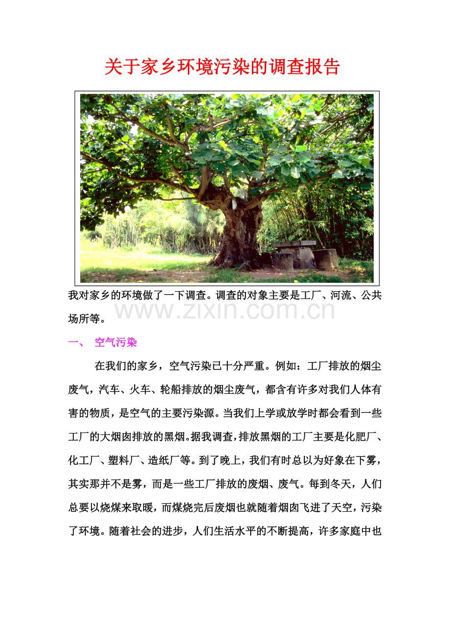 关于家乡环境污染的调查报告.doc_第1页