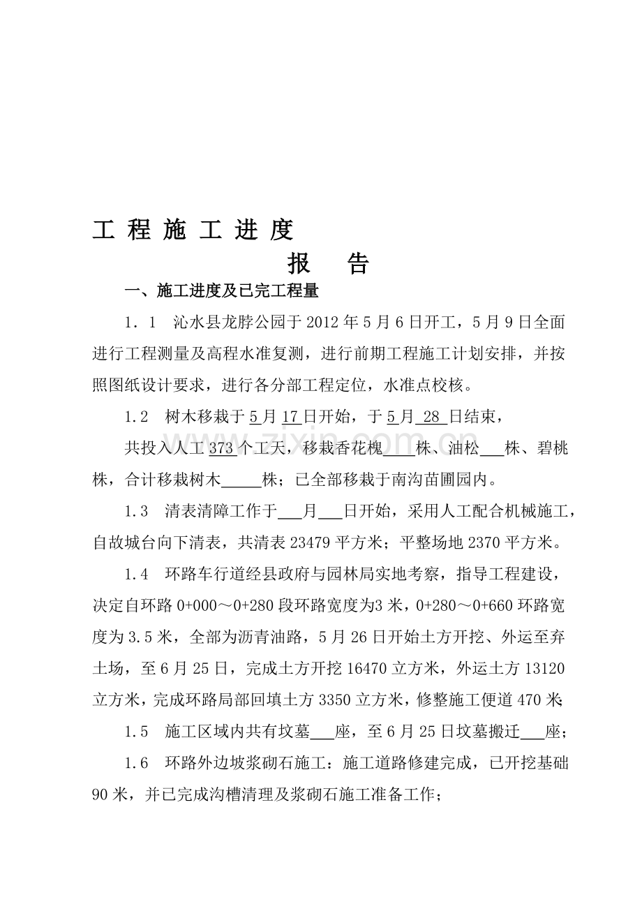 工程施工进度报告.doc_第1页