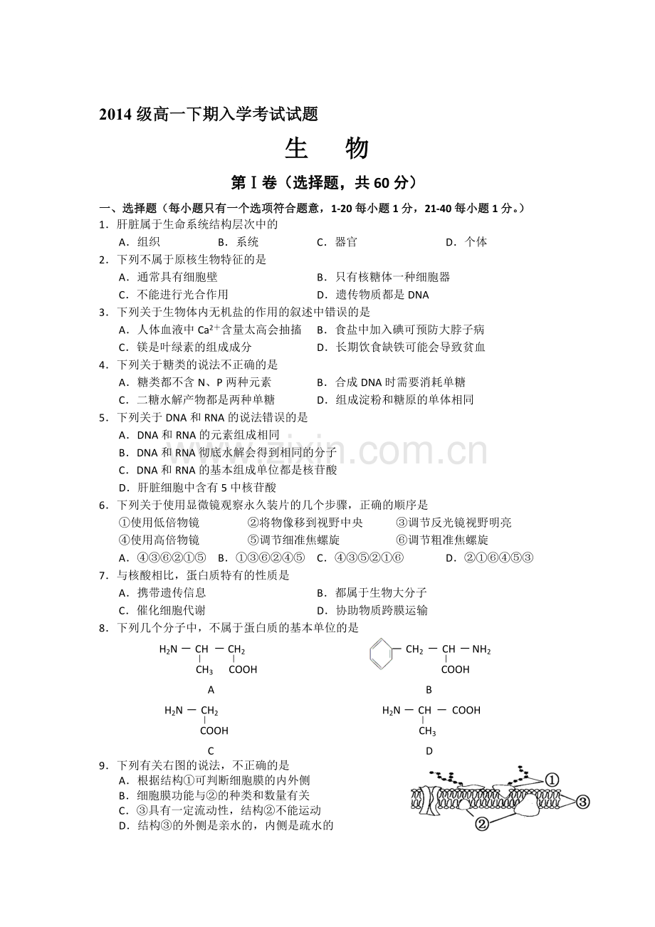 高一生物上册入学考试试题.doc_第1页