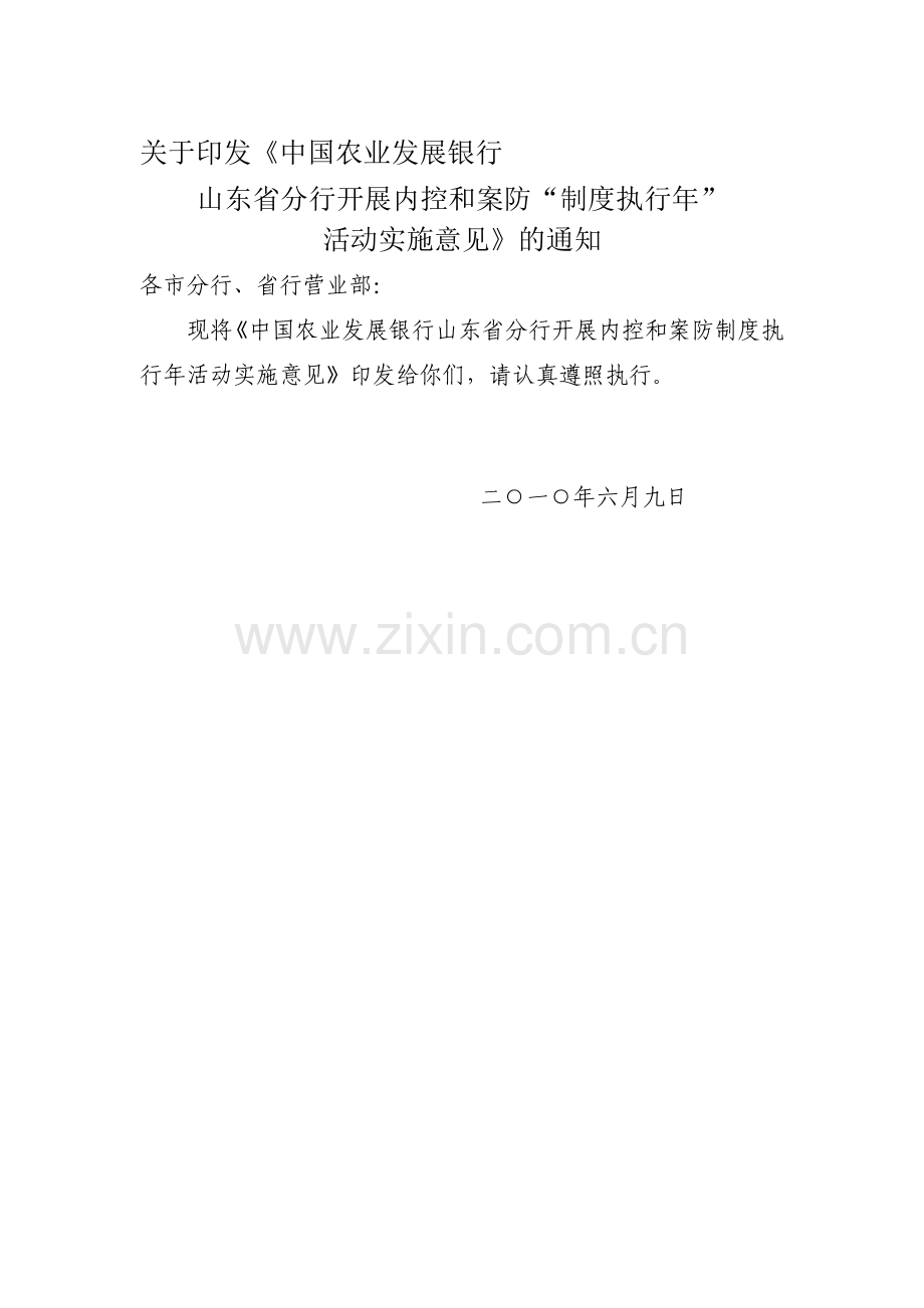 开展“内控和案防制度执行年”的实施意见.doc_第1页