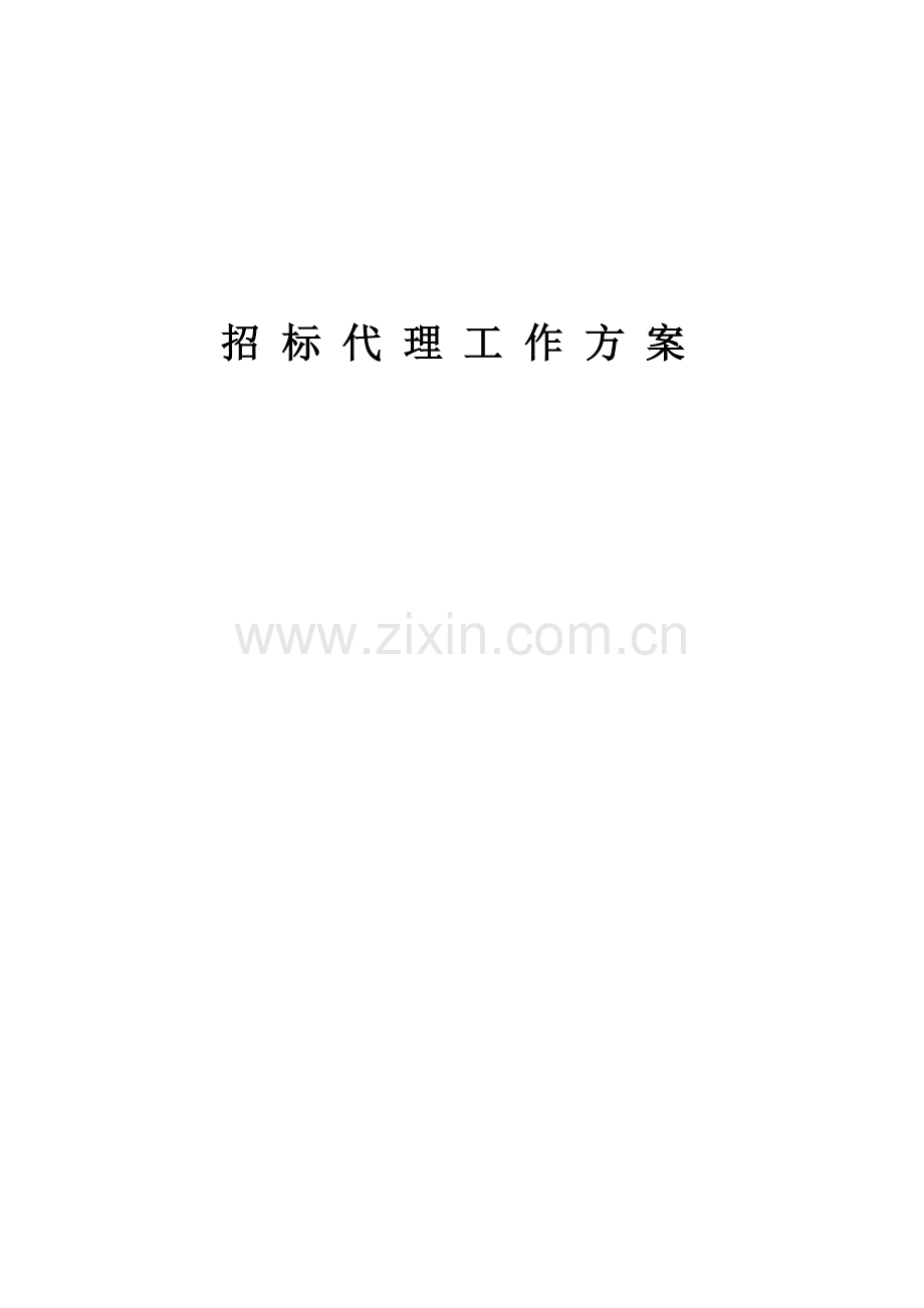 招标工作方案.doc_第1页