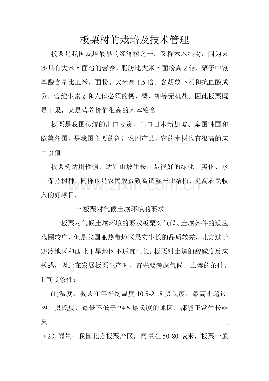 板栗树的栽培及技术管.doc_第1页