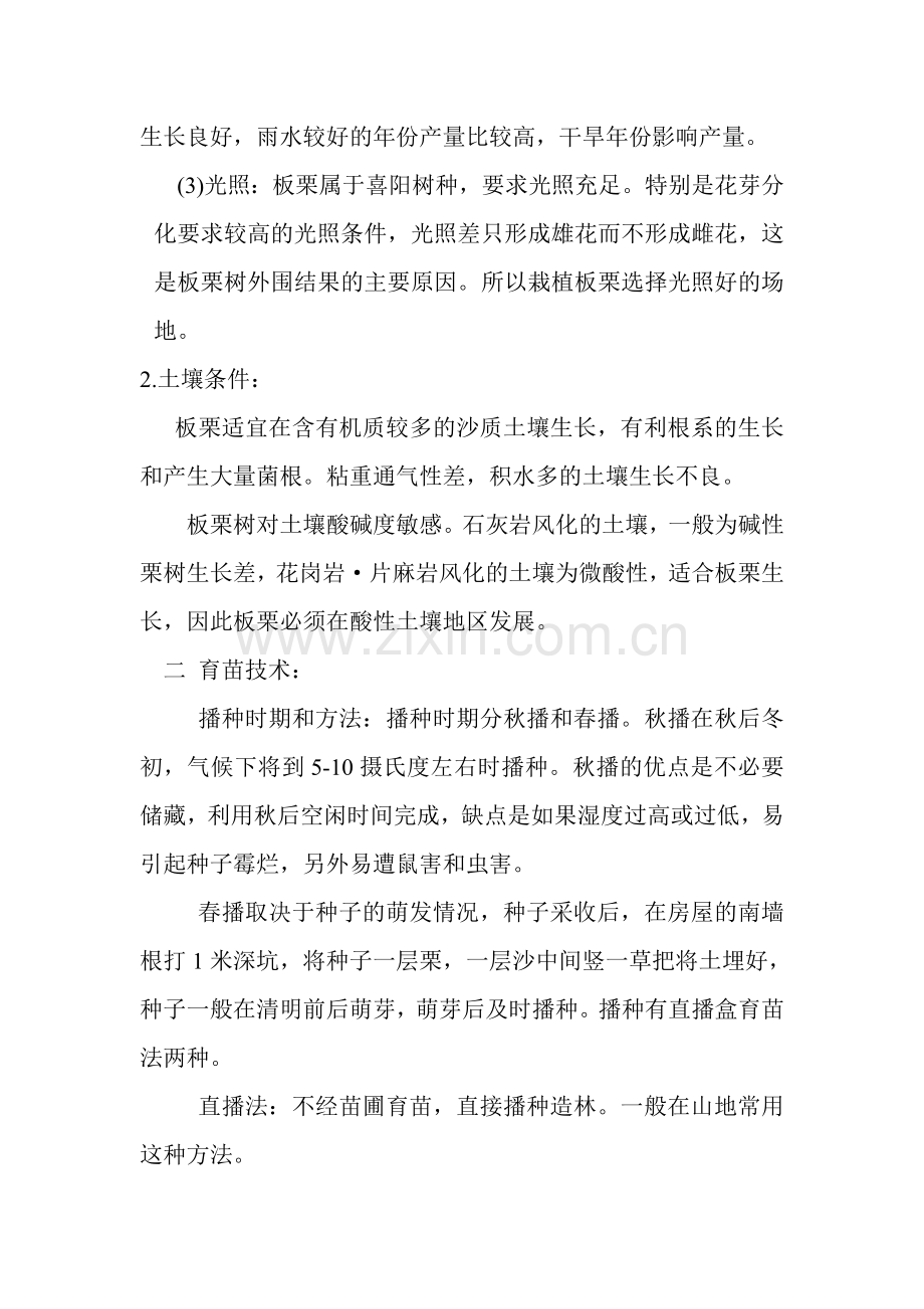 板栗树的栽培及技术管.doc_第2页