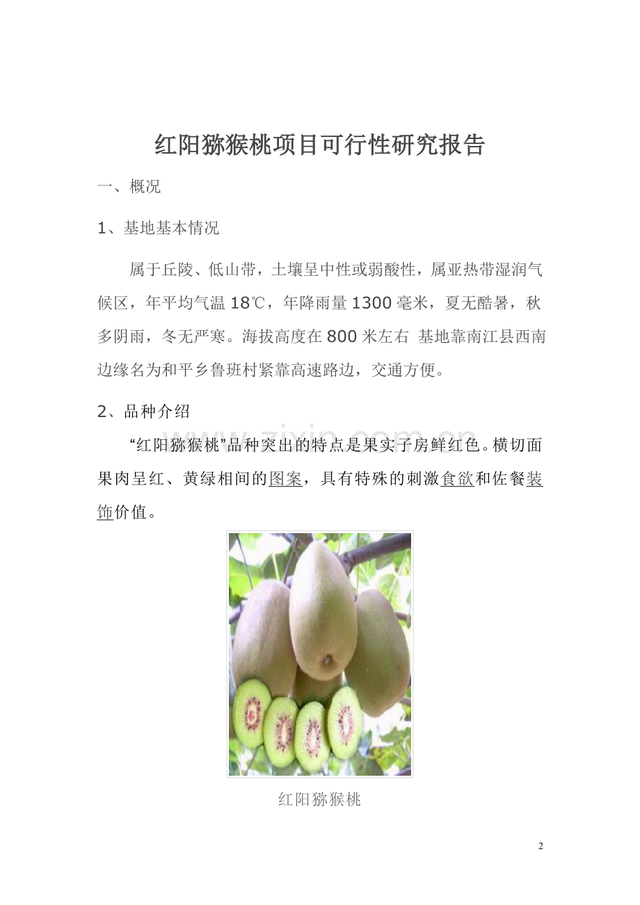 红阳猕猴桃项目可行性研究报告.doc_第2页