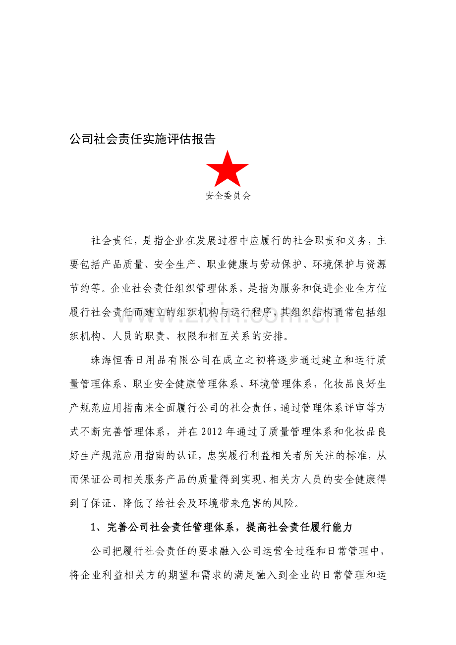 公司社会责任实施评估报告.doc_第1页