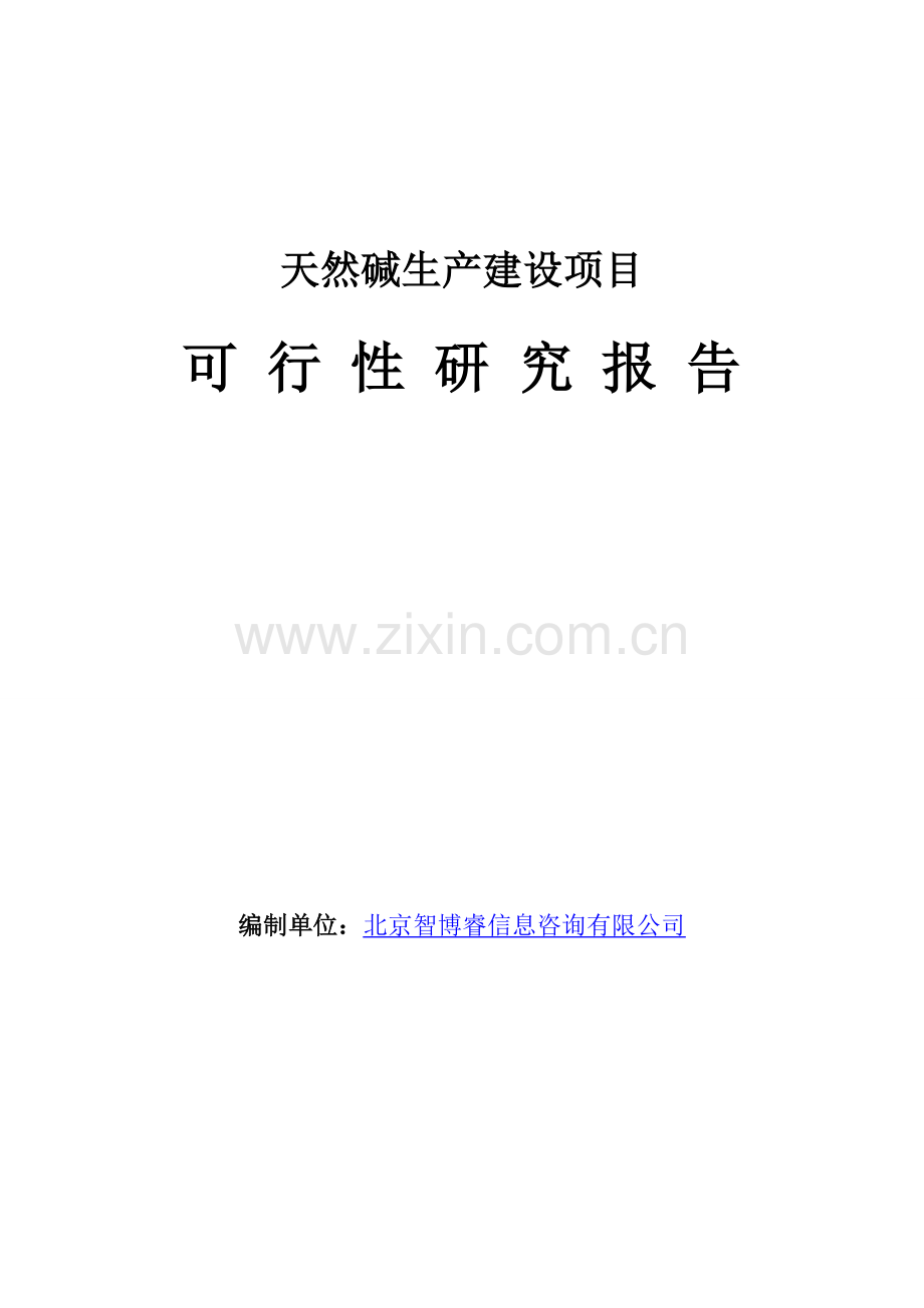 天然碱生产建设项目可行性研究报告.doc_第1页
