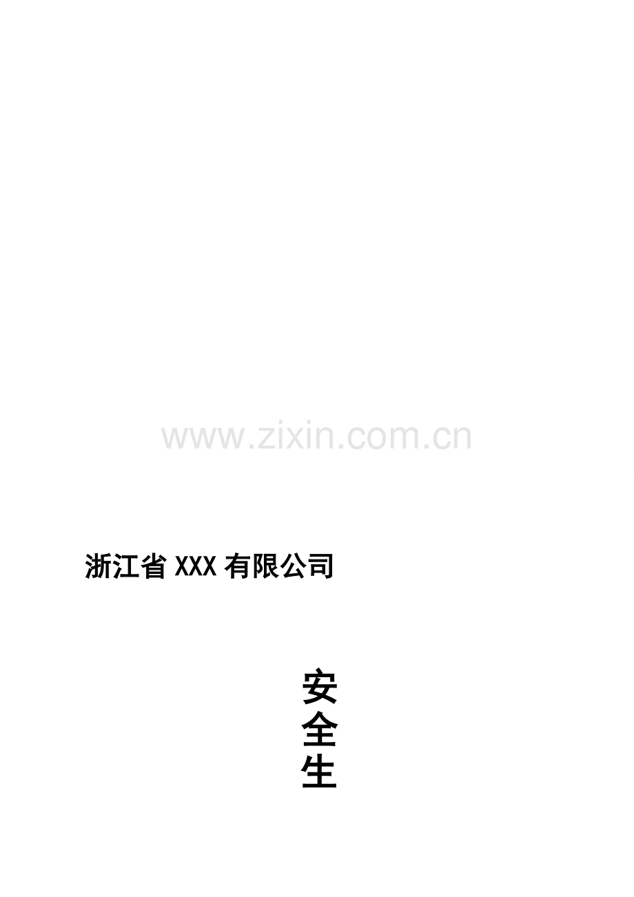 X公司安全生产管理制度.doc_第1页