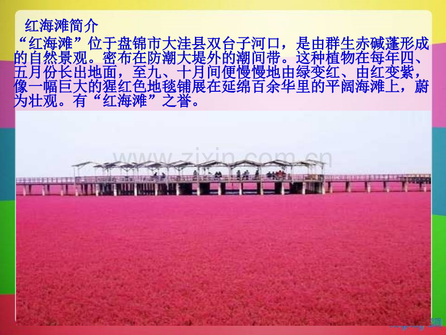景区管理作业.ppt_第2页