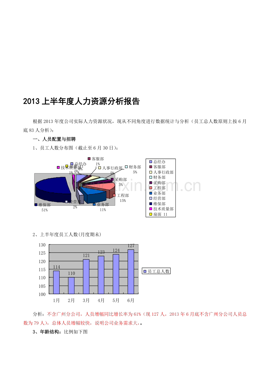 人力资源分析报告.doc_第1页