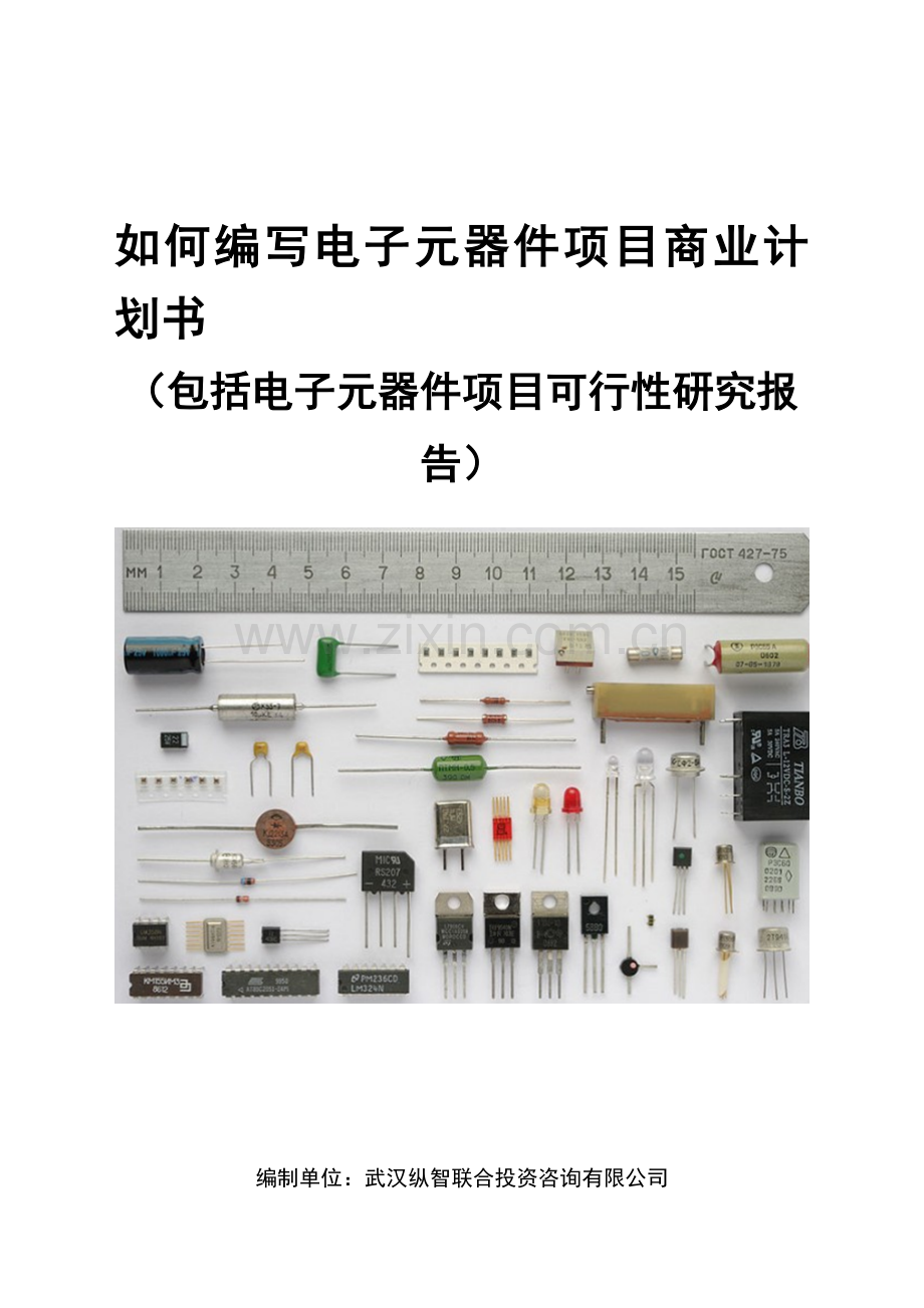 2013年优秀电子元器件项目商业计划书(可行性研究报告).doc_第1页
