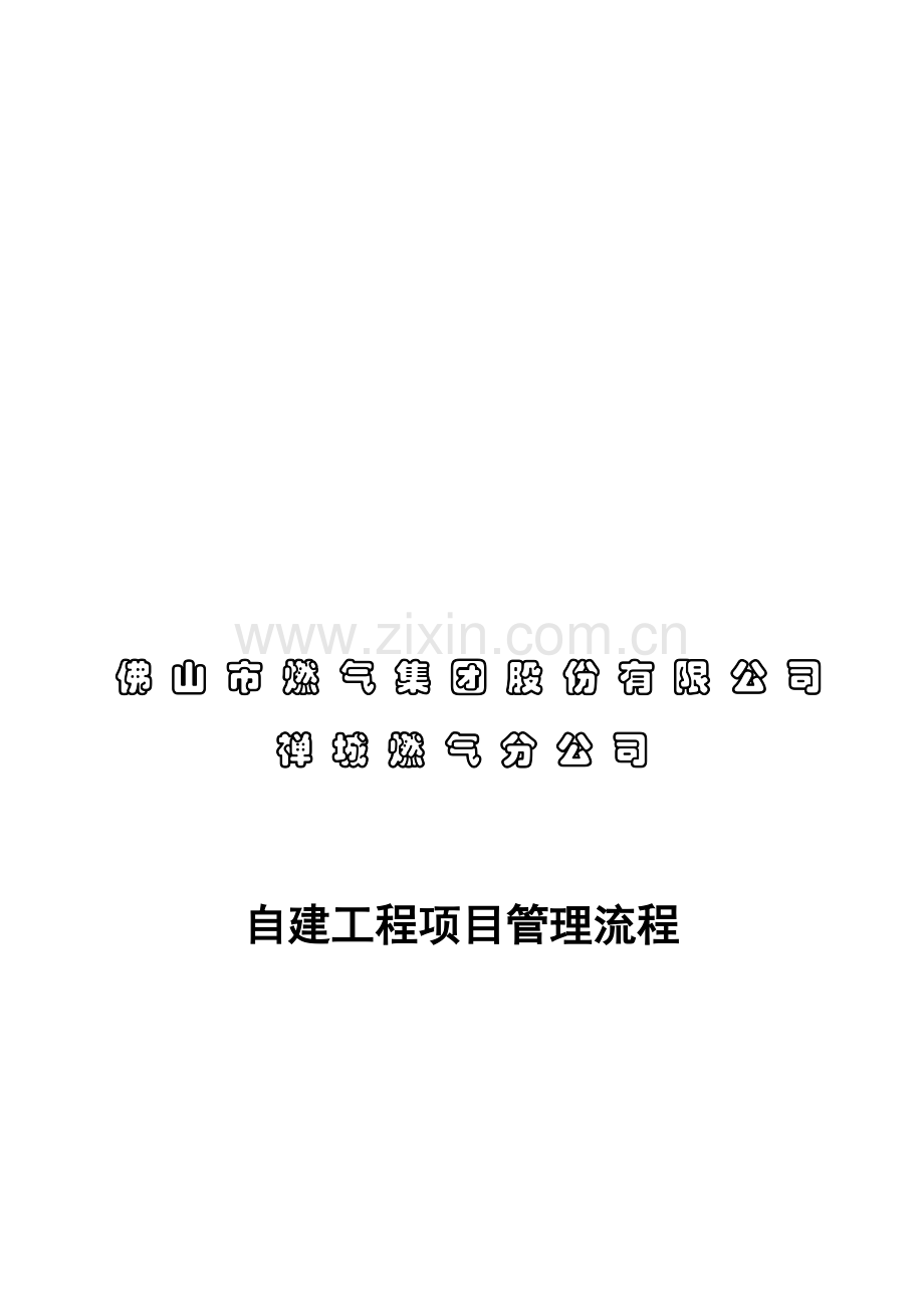 自建工程项目管理流程.doc_第1页