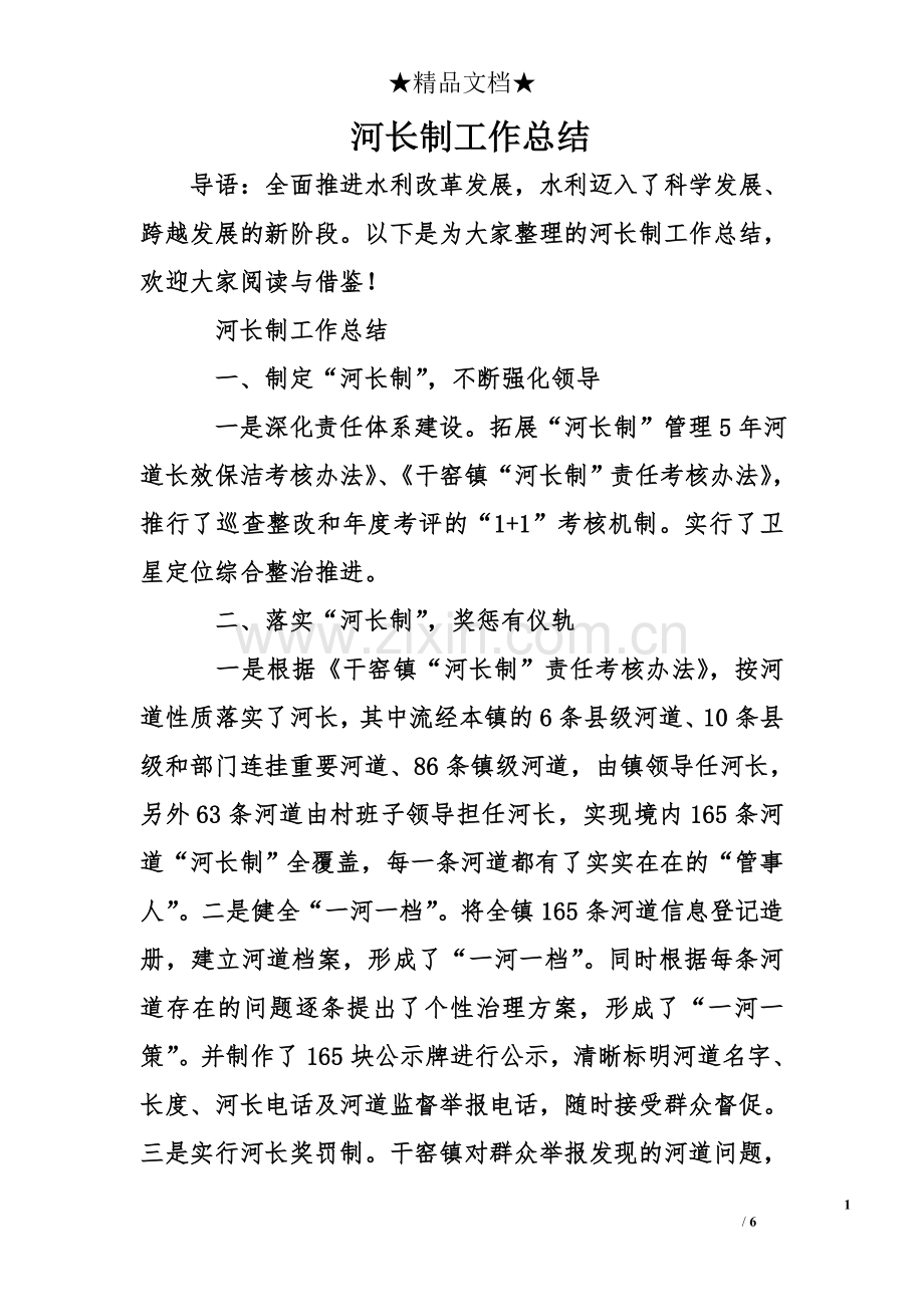 河长制工作总结.doc_第1页